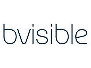 Logo Bvisible